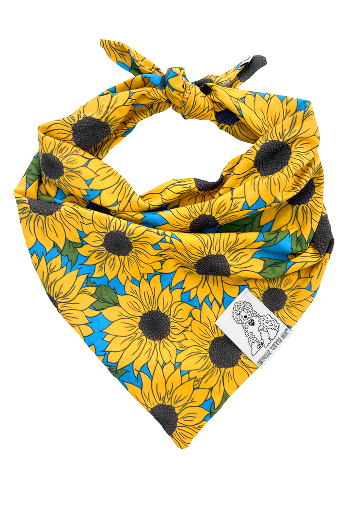 Dog Bandana Sunflower - Yellow - Customize by adding Interchangeable Velcro Embroidered Patches