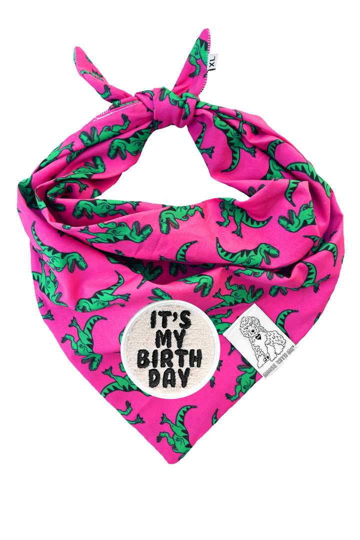 Dog Bandana Dinosaur - Pink - Customize by adding Interchangeable Velcro Embroidered Patches