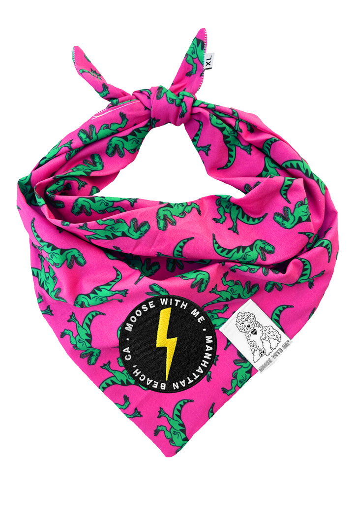 Dog Bandana Dinosaur - Pink - Customize by adding Interchangeable Velcro Embroidered Patches