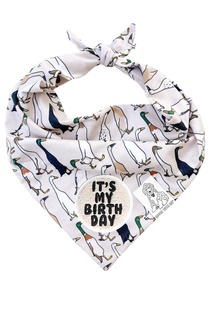 Dog Bandana Duck - Beige - Customize by adding Interchangeable Velcro Embroidered Patches