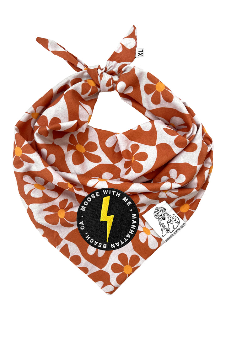 Dog Bandana Groovy Daisy - Beige - Customize by adding Interchangeable Velcro Embroidered Patches