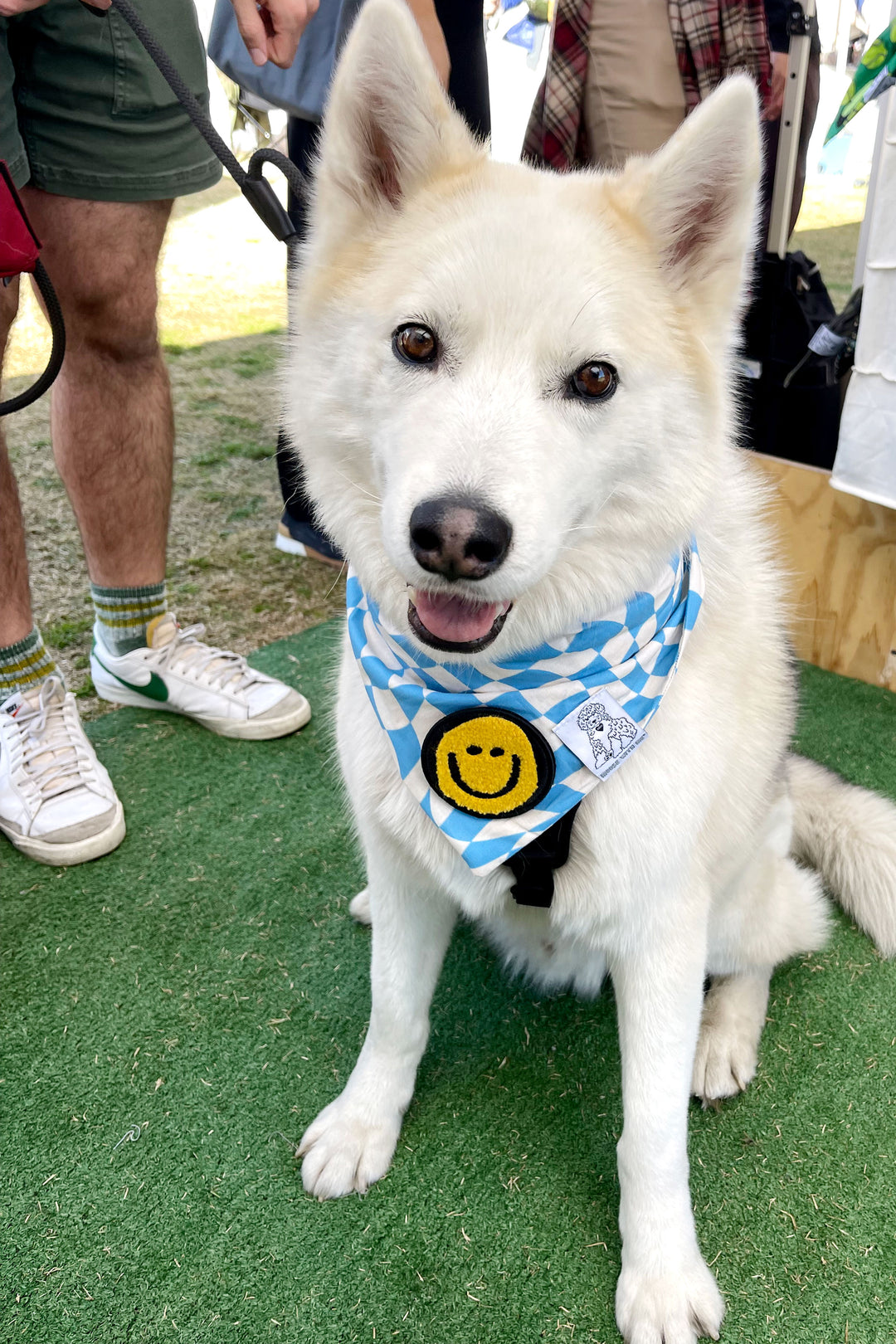Dog Bandana Checkered Swirl - Blue - Customize by adding Interchangeable Velcro Embroidered Patches