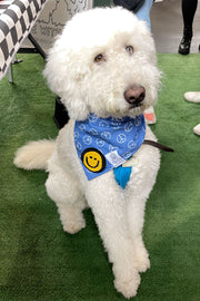 Dog Bandana Peace Sign - Blue - Customize by adding Interchangeable Velcro Embroidered Patches