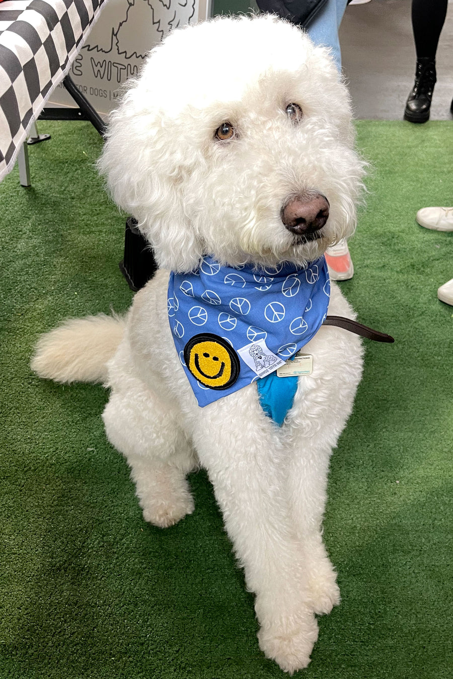Dog Bandana Peace Sign - Blue - Customize by adding Interchangeable Velcro Embroidered Patches