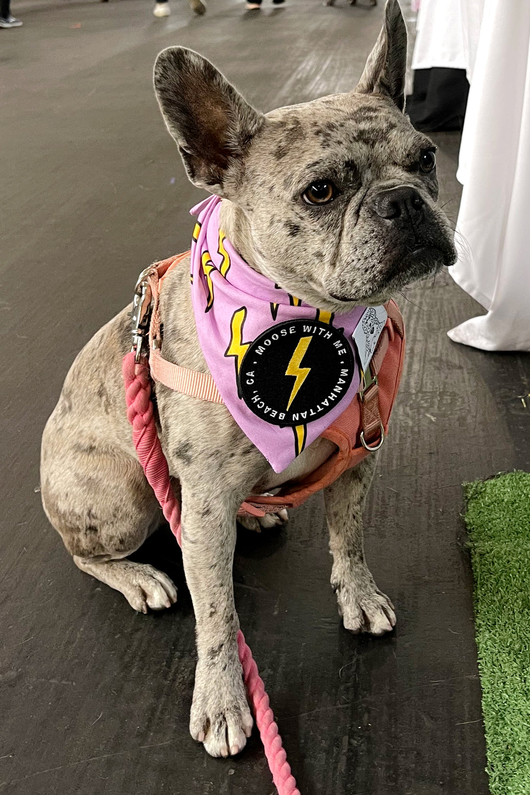 Dog Bandana Bolts - Purple - Customize by adding Interchangeable Velcro Embroidered Patches