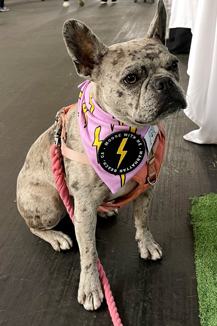 Dog Bandana Bolts - Purple - Customize by adding Interchangeable Velcro Embroidered Patches