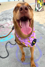 Dog Bandana Bolts - Purple - Customize by adding Interchangeable Velcro Embroidered Patches