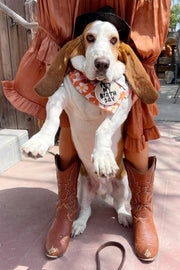 Dog Bandana Groovy Daisy - Beige - Customize by adding Interchangeable Velcro Embroidered Patches
