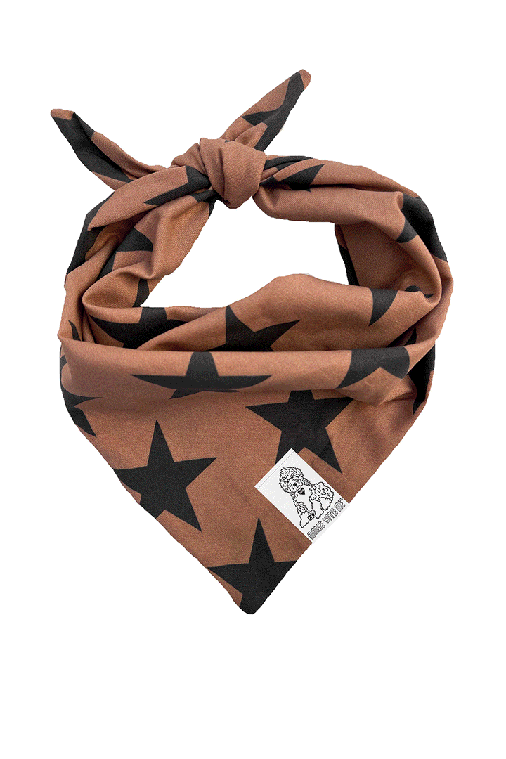 Dog Bandana Stars - Brown - Customize by adding Interchangeable Velcro Embroidered Patches