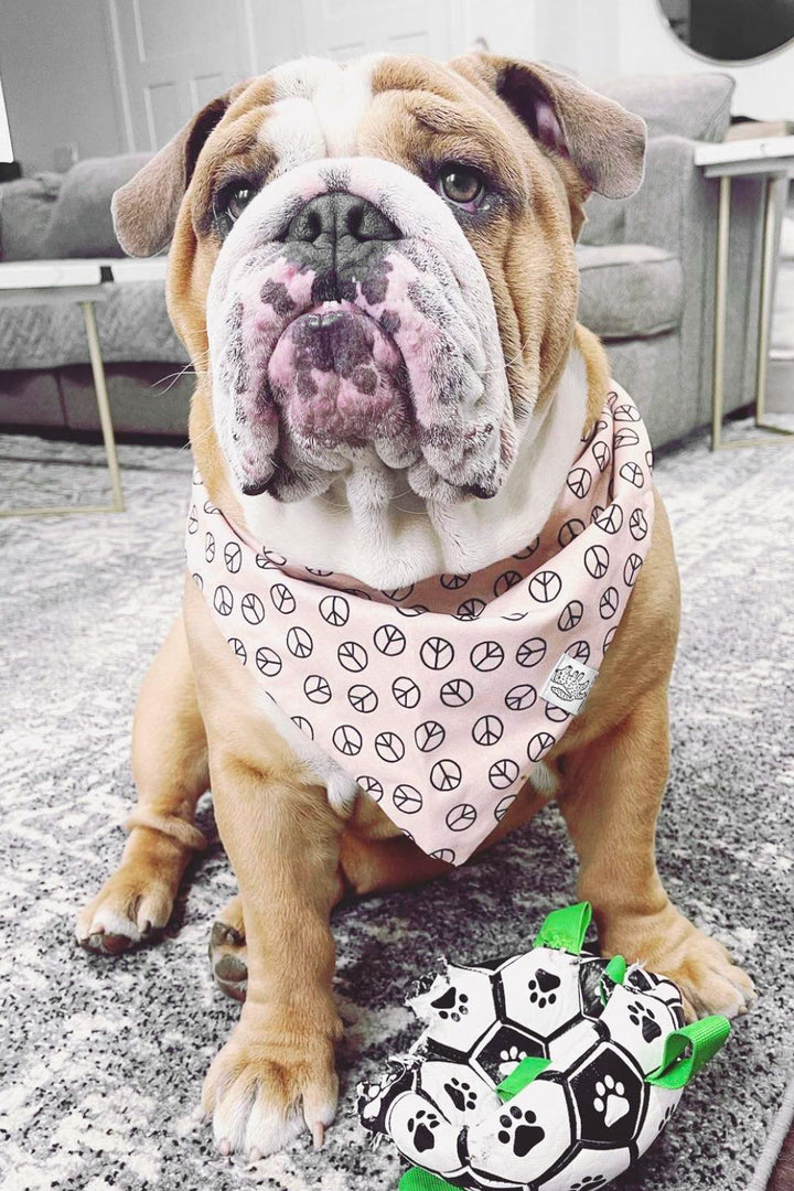Dog Bandana Peace Sign - Tan - Customize by adding Interchangeable Velcro Embroidered Patches