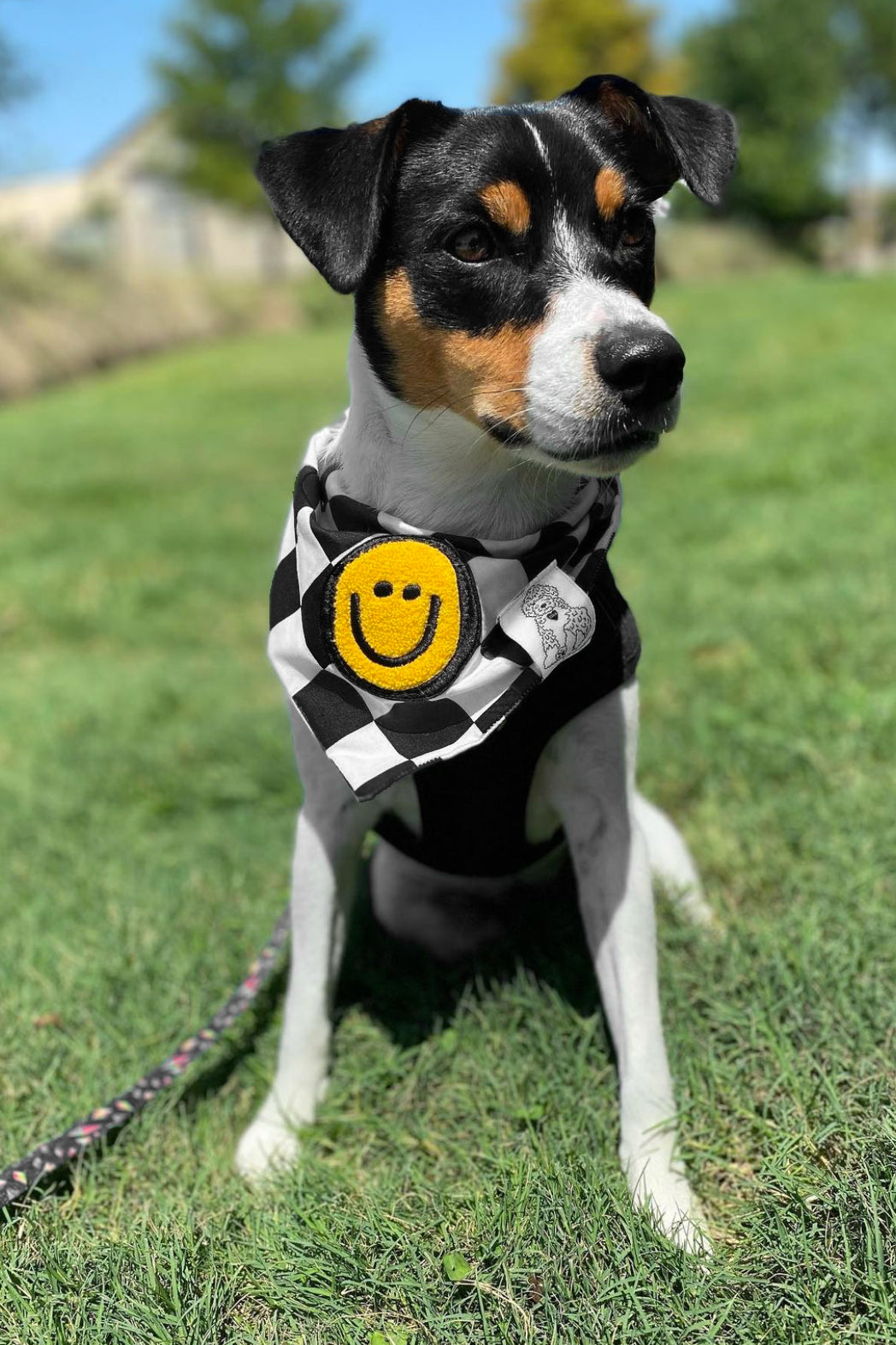 Dog Bandana Checkered Print - Black - Customize by adding Interchangeable Velcro Embroidered Patches