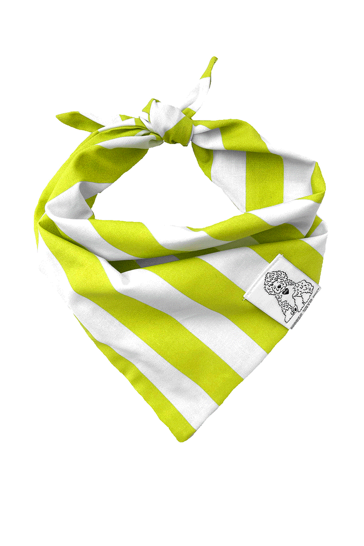 Dog Bandana Stripes - Green - Customize by adding Interchangeable Velcro Embroidered Patches