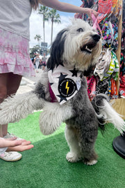 Dog Bandana Stars - Cream - Customize by adding Interchangeable Velcro Embroidered Patches
