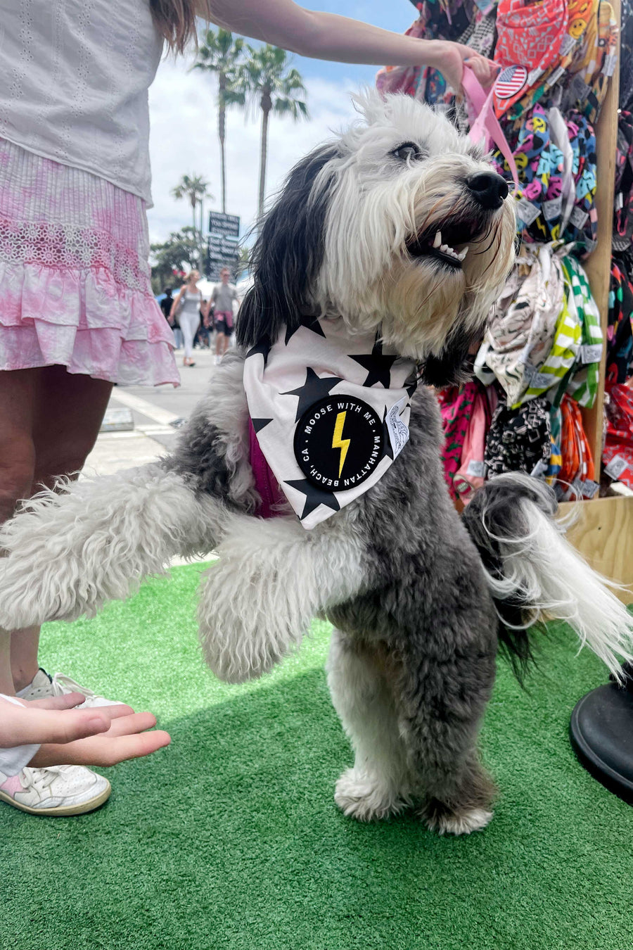 Dog Bandana Stars - Cream - Customize by adding Interchangeable Velcro Embroidered Patches