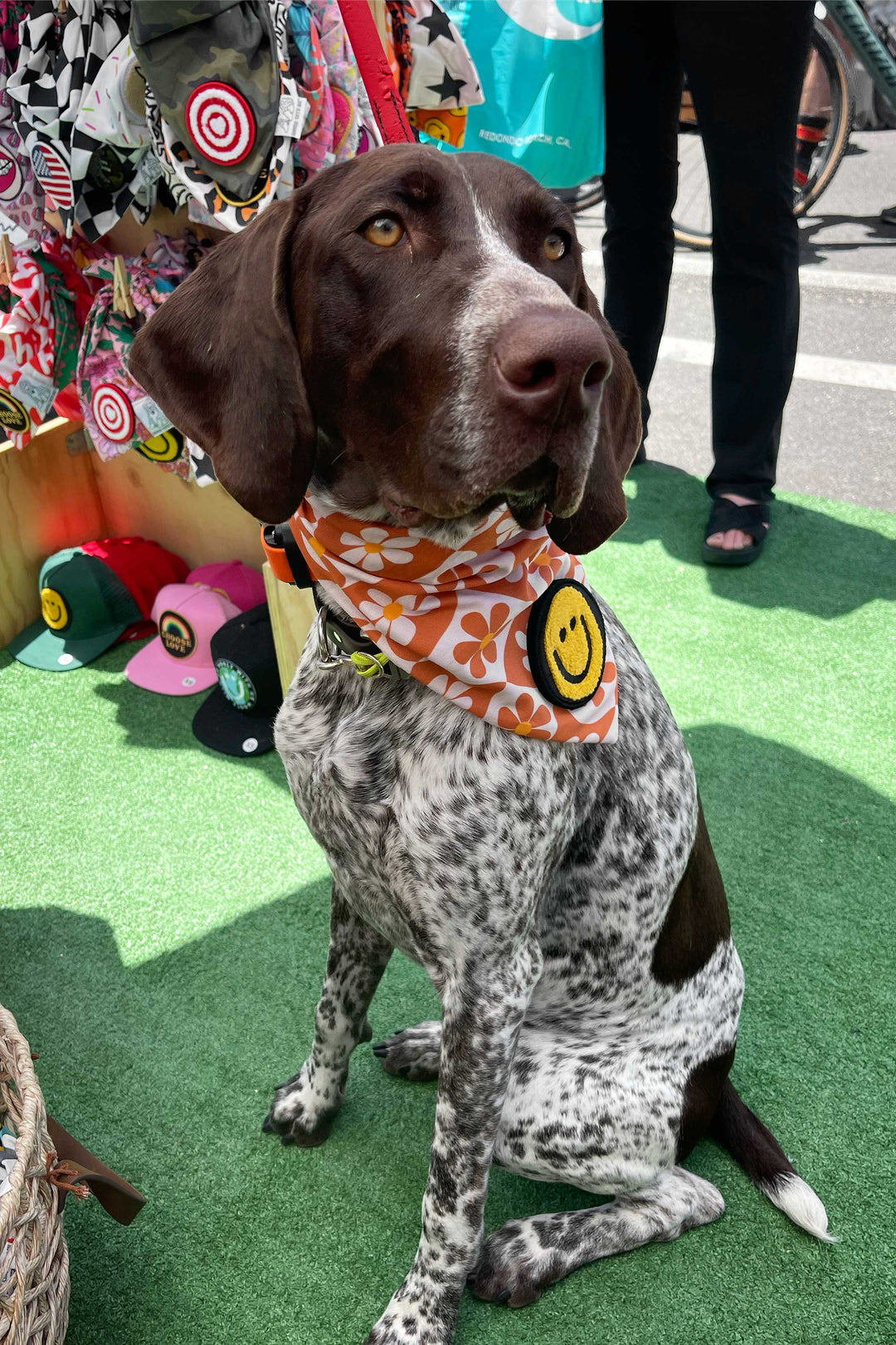 Dog Bandana Groovy Daisy - Beige - Customize by adding Interchangeable Velcro Embroidered Patches