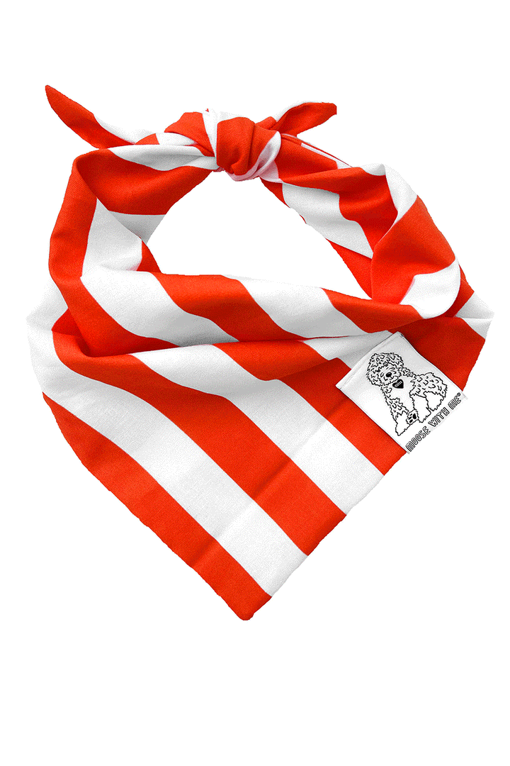 Dog Bandana Stripe - Red - Customize by adding Interchangeable Velcro Embroidered Patches