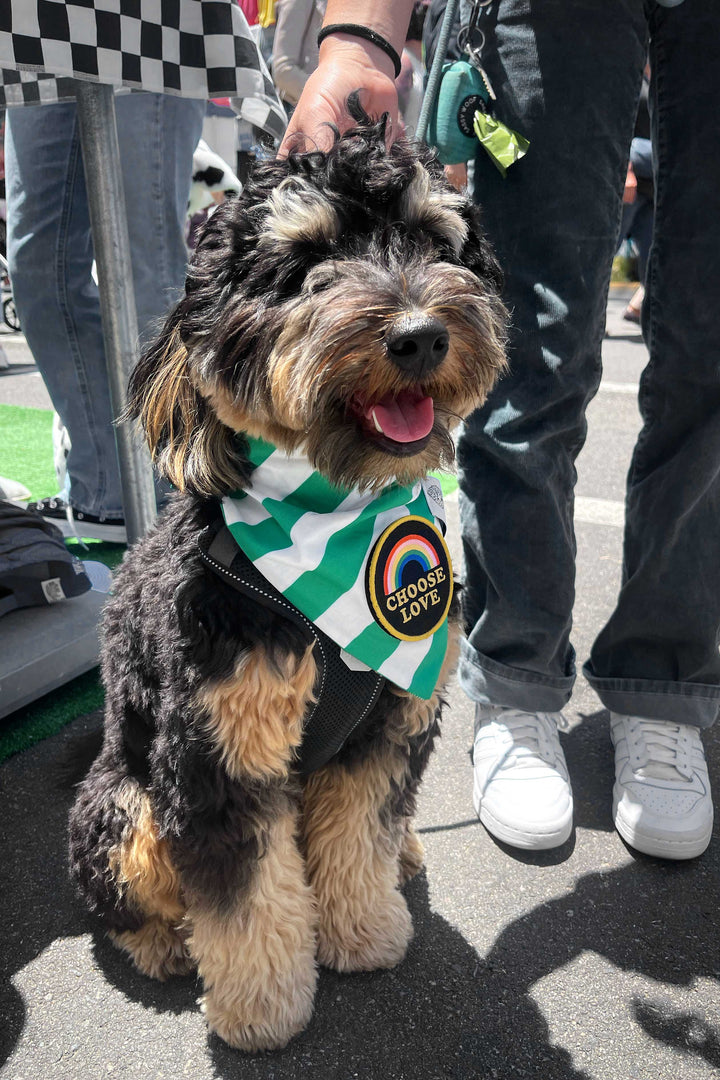 Dog Bandana Stripe - Green - Customize by adding Interchangeable Velcro Embroidered Patches