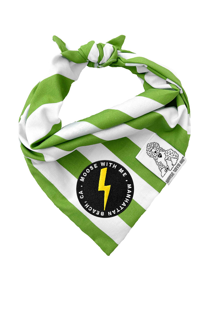 Dog Bandana Stripe - Green - Customize by adding Interchangeable Velcro Embroidered Patches