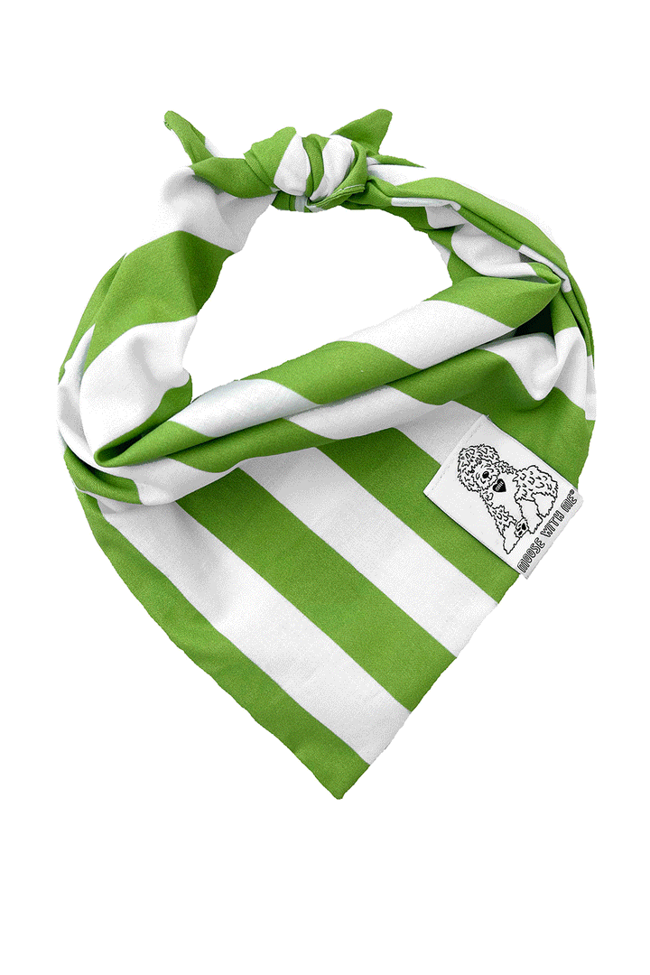 Dog Bandana Stripe - Green - Customize by adding Interchangeable Velcro Embroidered Patches