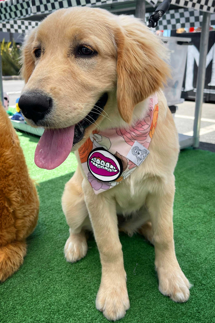 Dog Bandana Groovy Floral - Pink - Customize by adding Interchangeable Velcro Embroidered Patches