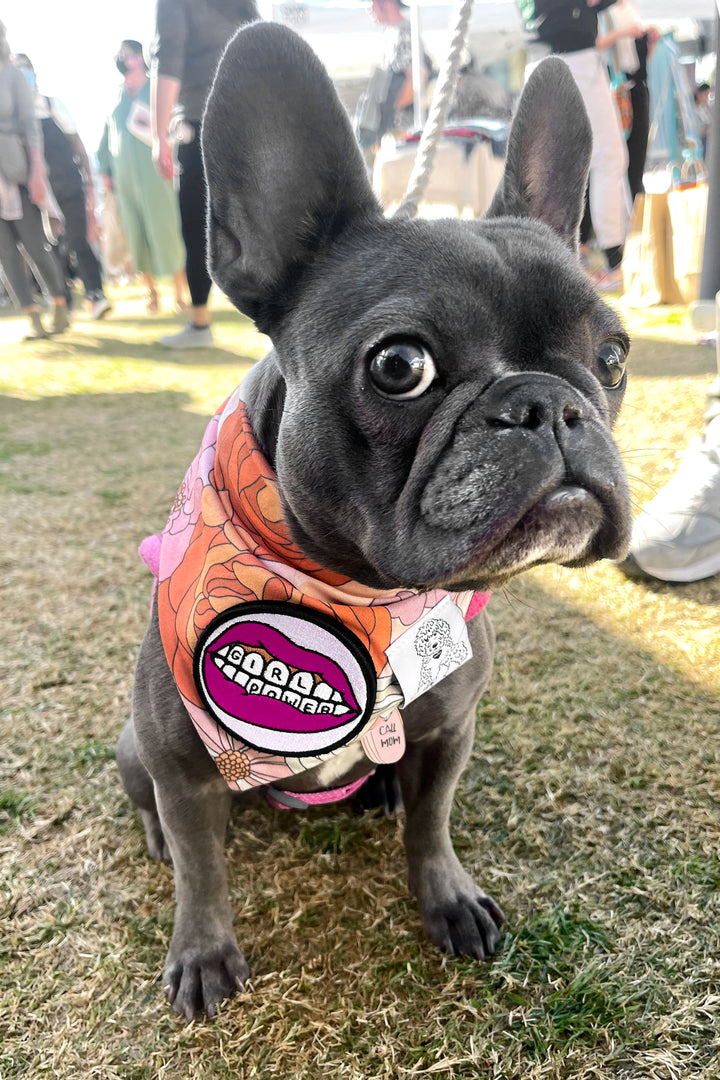 Dog Bandana Groovy Floral - Pink - Customize by adding Interchangeable Velcro Embroidered Patches