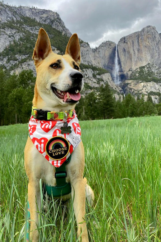 Dog Bandana Hi Hearts - Red - Customize by adding Interchangeable Velcro Embroidered Patches