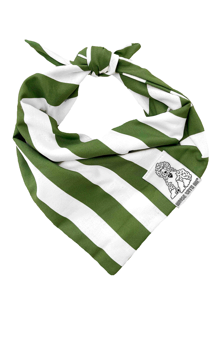 Dog Bandana Stripe - Green - Customize by adding Interchangeable Velcro Embroidered Patches