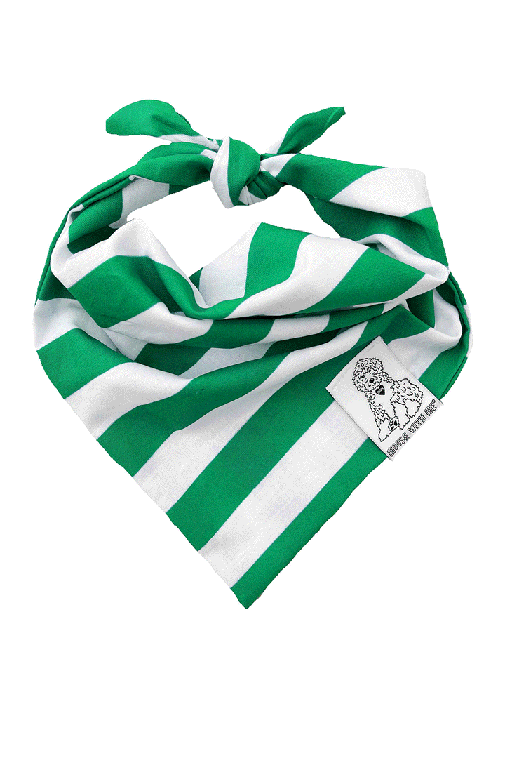 Dog Bandana Stripe - Green - Customize by adding Interchangeable Velcro Embroidered Patches