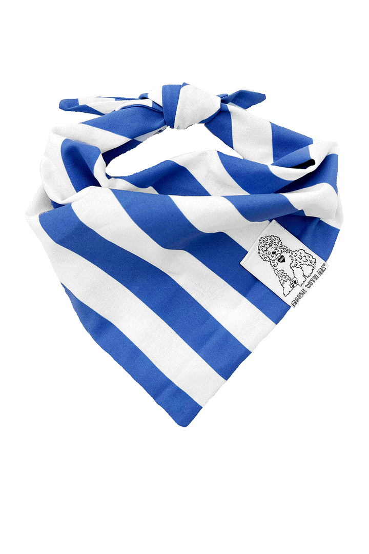 Dog Bandana Stripe - Blue - Customize by adding Interchangeable Velcro Embroidered Patches
