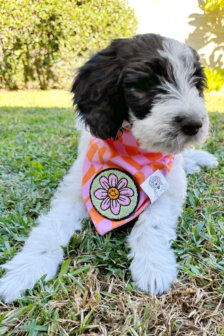 Dog Bandana Checkered Swirl - Pink - Customize by adding Interchangeable Velcro Embroidered Patches