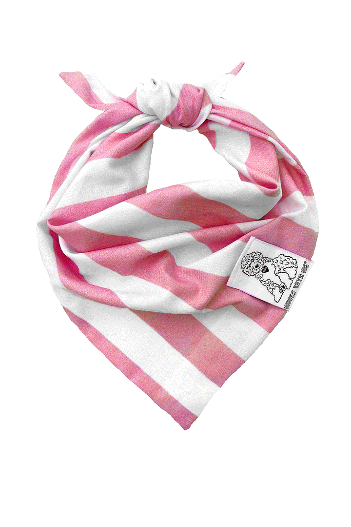 Dog Bandana Stripe - Pink - Customize by adding Interchangeable Velcro Embroidered Patches