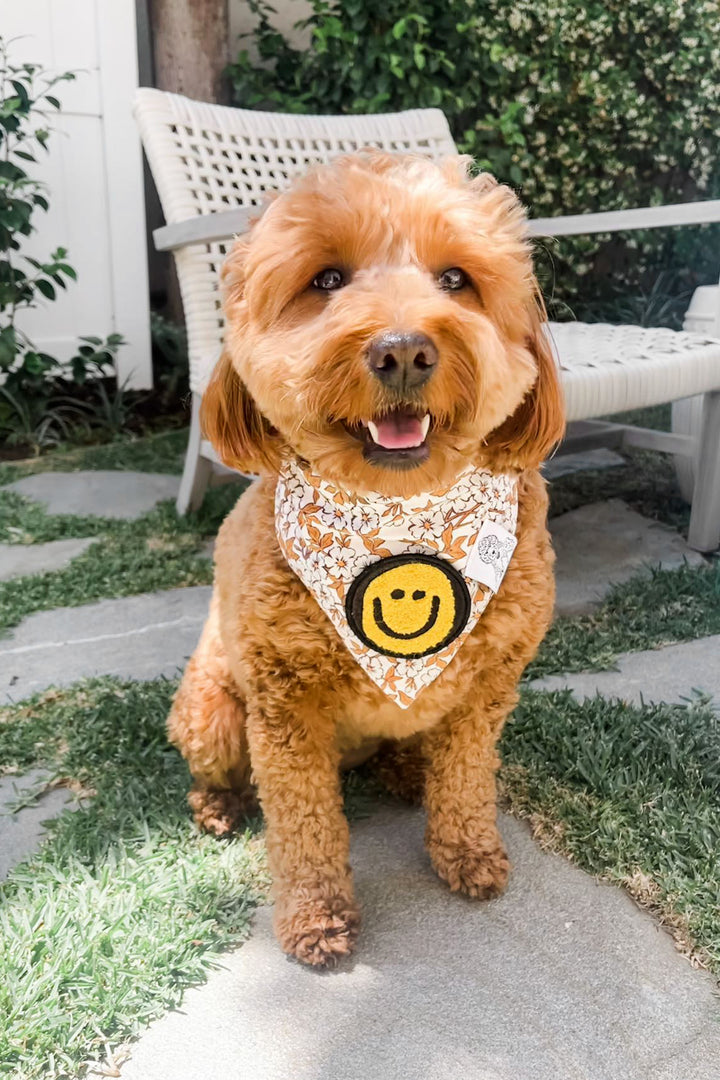 Dog Bandana Floral - Cream - Customize by adding Interchangeable Velcro Embroidered Patches