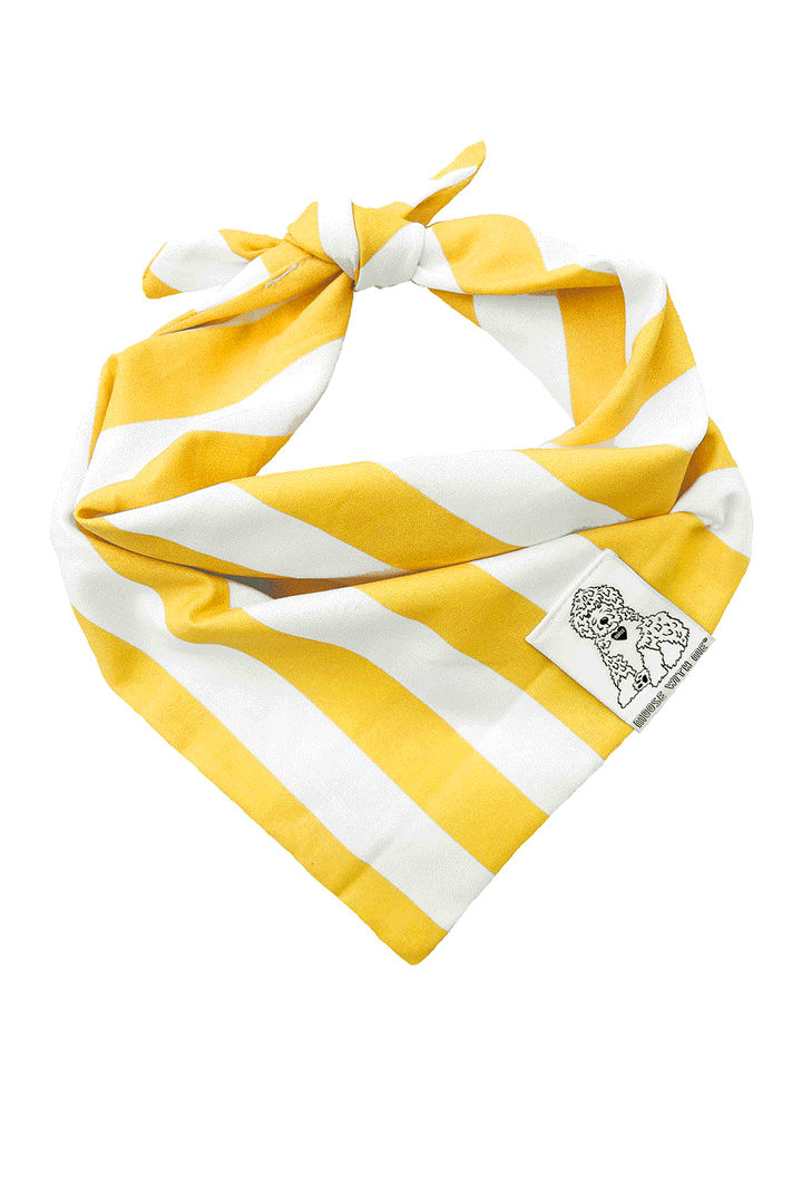 Dog Bandana Stripe - Yellow - Customize by adding Interchangeable Velcro Embroidered Patches