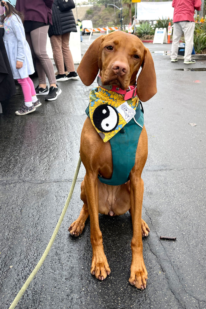 Dog Bandana Sunflower - Yellow - Customize by adding Interchangeable Velcro Embroidered Patches