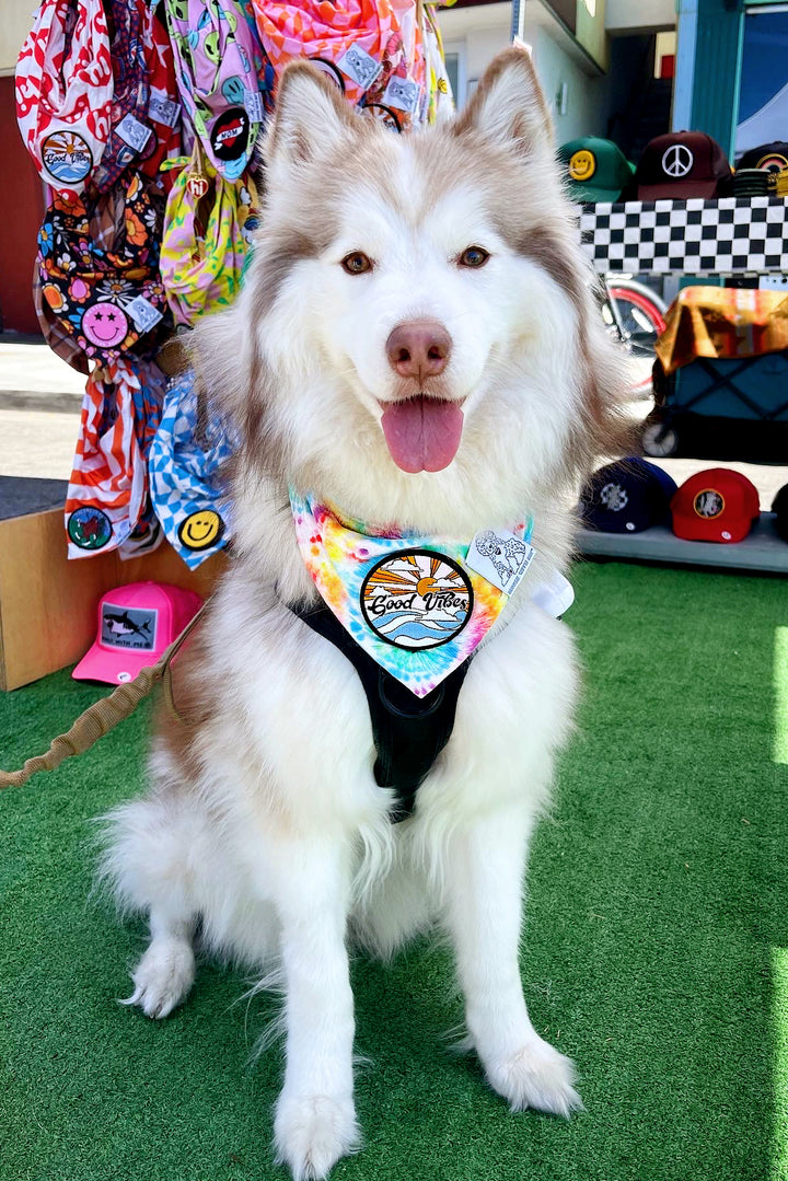 Dog Bandana Tie Dye - Red - Customize by adding Interchangeable Velcro Embroidered Patches