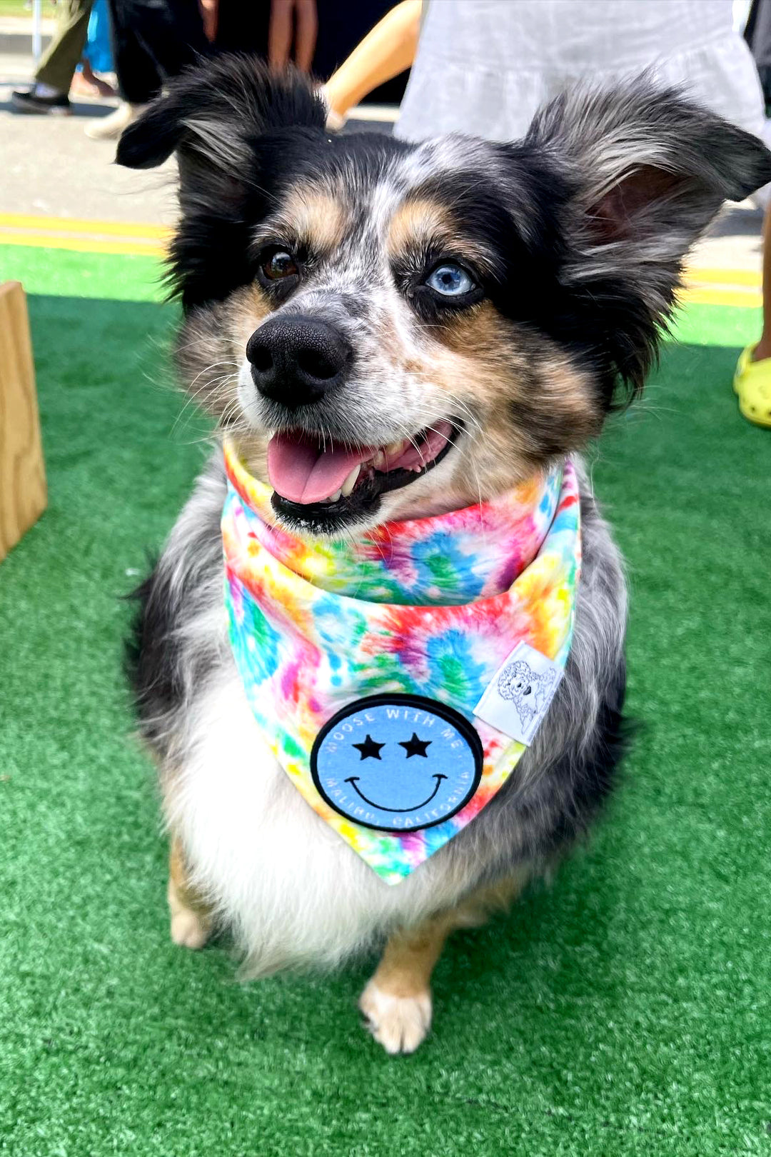 Dog Bandana Tie Dye - Red - Customize by adding Interchangeable Velcro Embroidered Patches